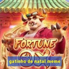 gatinho de natal meme